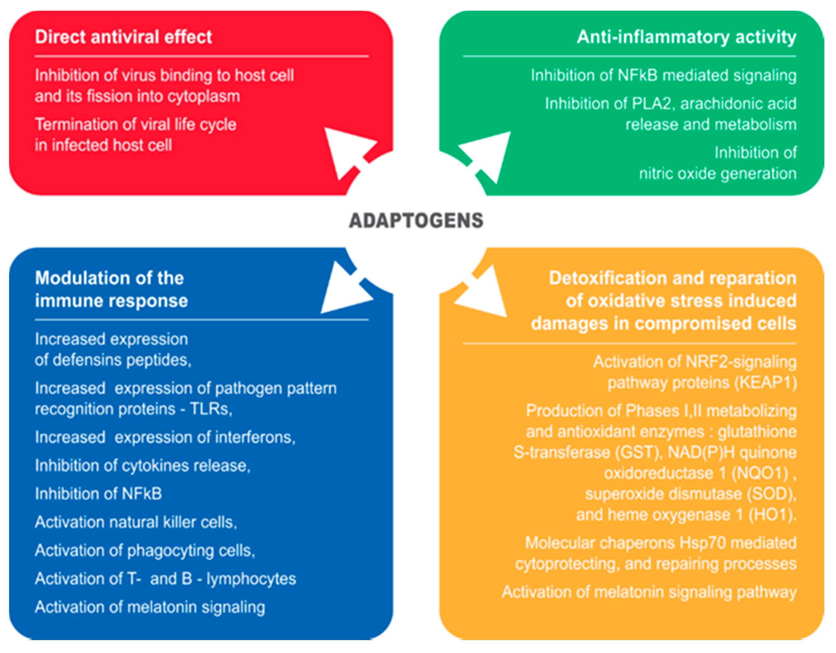 Pharmaceuticals | Free Full-Text | The Role of Adaptogens in 