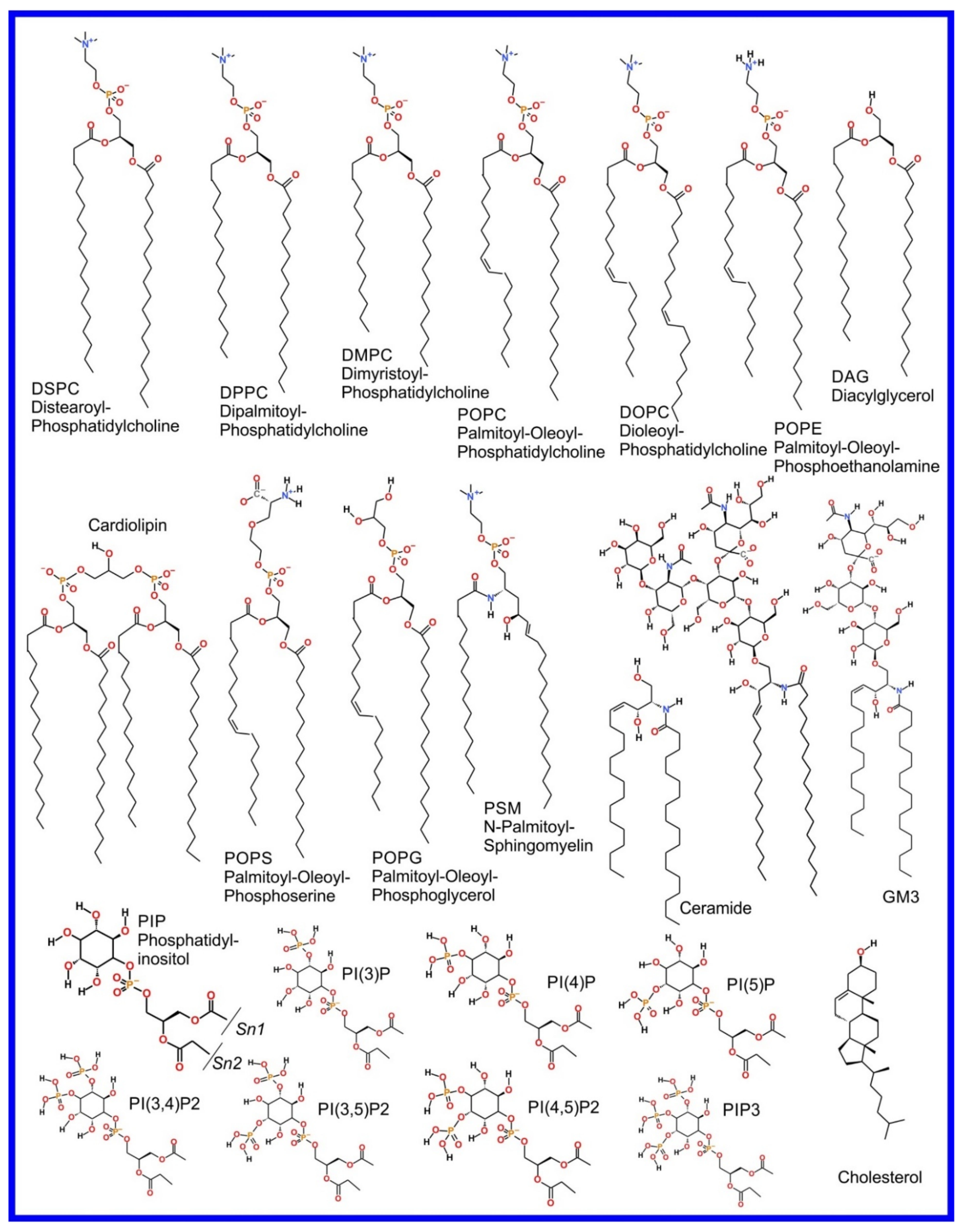 Pharmaceuticals | Free Full-Text | Mechanistic Understanding from