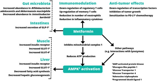 Pharmaceuticals | Free Full-Text | A Clinical Perspective of the ...