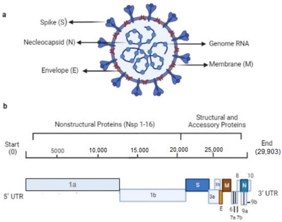 Pharmaceuticals | Free Full-Text | Hybrid Approach to Identifying ...