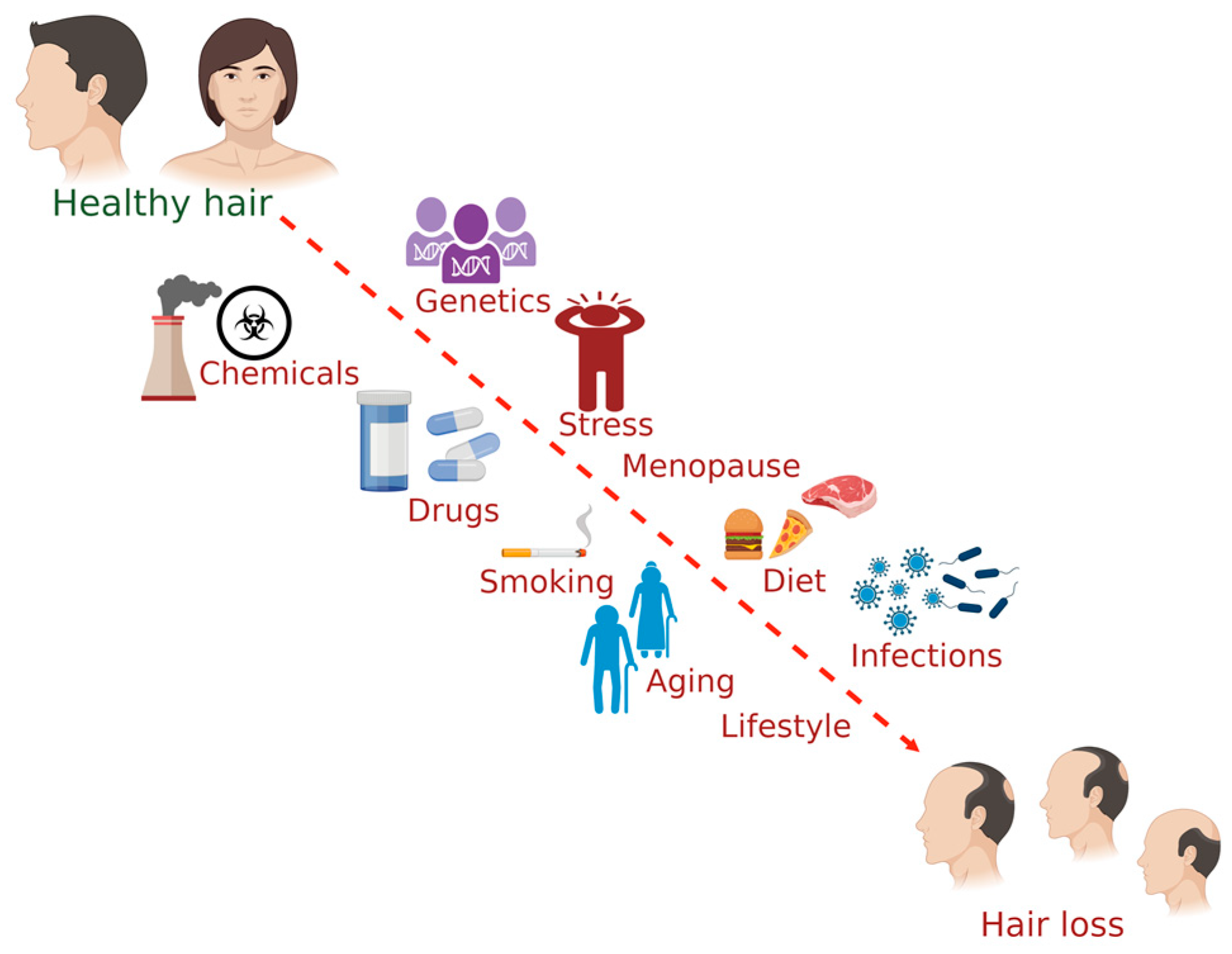 Pharmaceuticals | Free Full-Text | Role and Mechanisms of Phytochemicals in Hair  Growth and Health