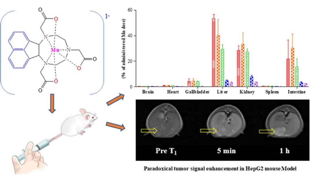 online Pharmaceuticals | Free Full-Text | ,7-Triazacyclononane-1,4,7-Triacetic Contrast Manganese Acid of (II) 1,4 Agent Hepatobiliary (NOTA) as a Complex MRI