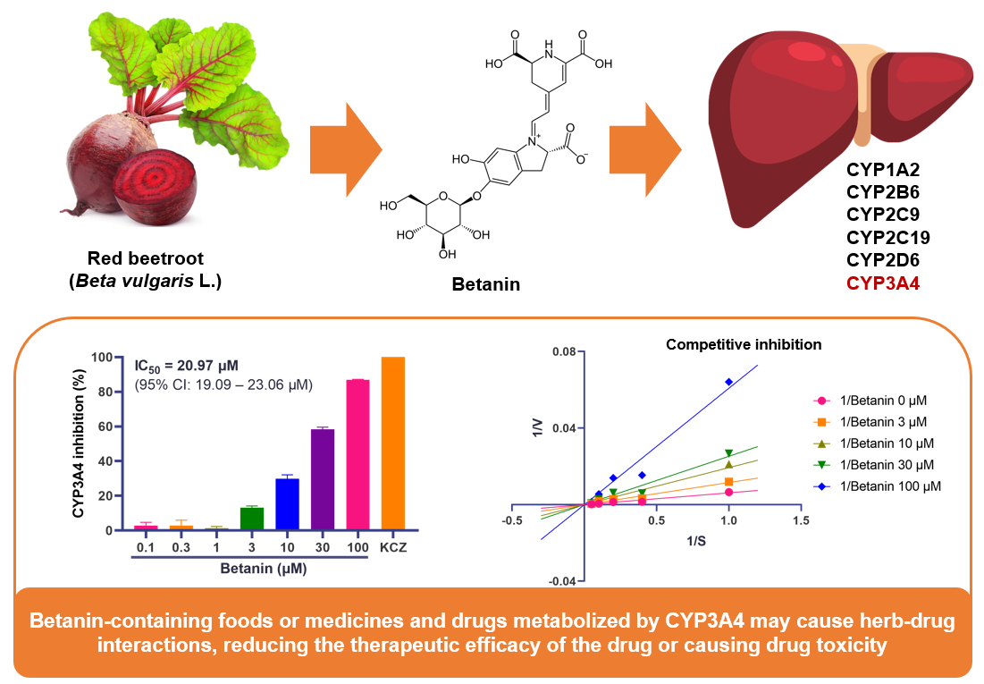 Pharmaceuticals Free Full Text Effect of Betanin the Major