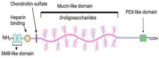 Pharmaceuticals | Free Full-Text | Targeting CD44 Receptor