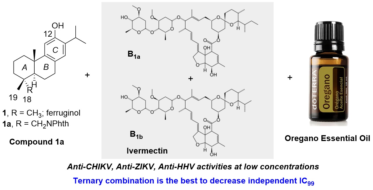 Pharmaceuticals | Free Full-Text | Synergistic In Vitro Antiviral