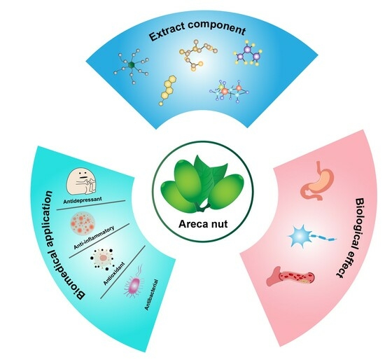 Biological Effects and Biomedical Applications of Areca Nut Extract Biological Effects and Biomedical Applications of Areca Nut Extract