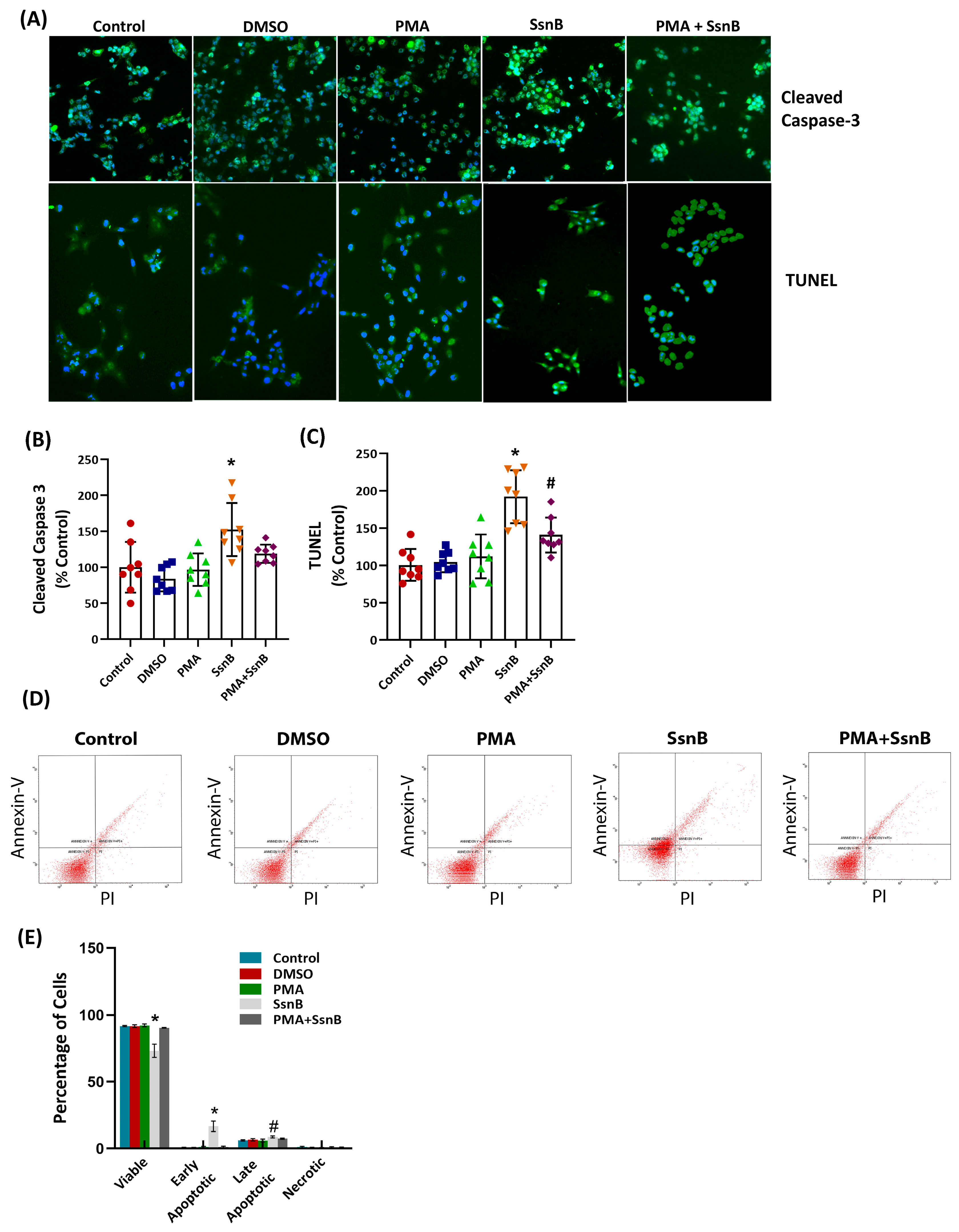 Sparstolonin B Suppresses Proliferation and Modulates Toll-like ...