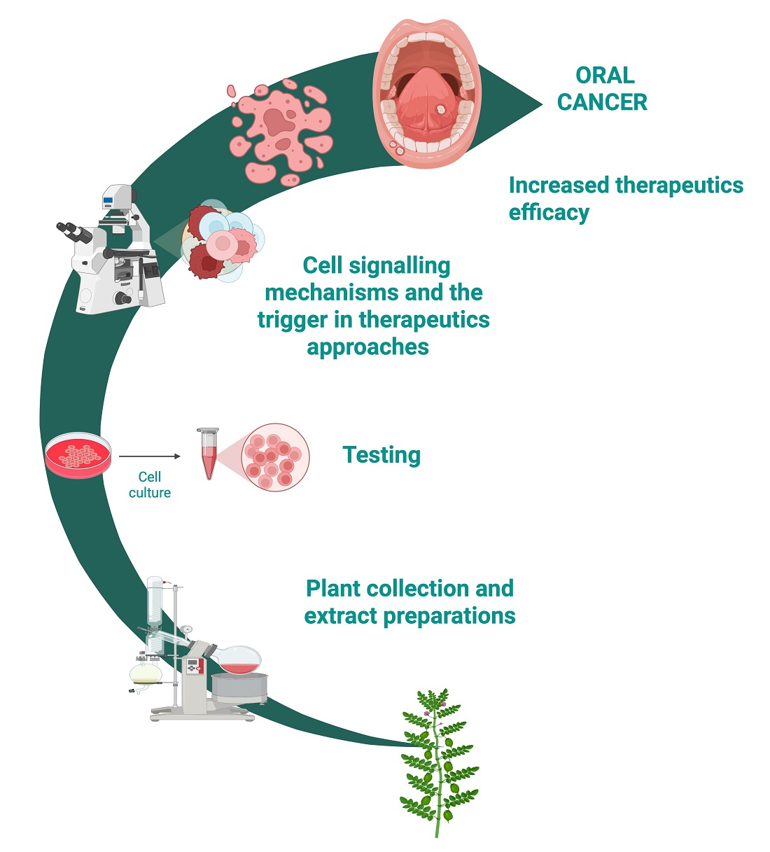 na. Epithelial Sodium Channel and Salt-Sensitive Hypertension