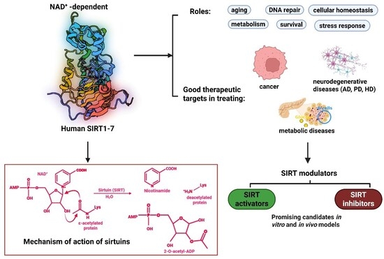 Sirtuins as Therapeutic Targets for Treating Cancer, Metabolic