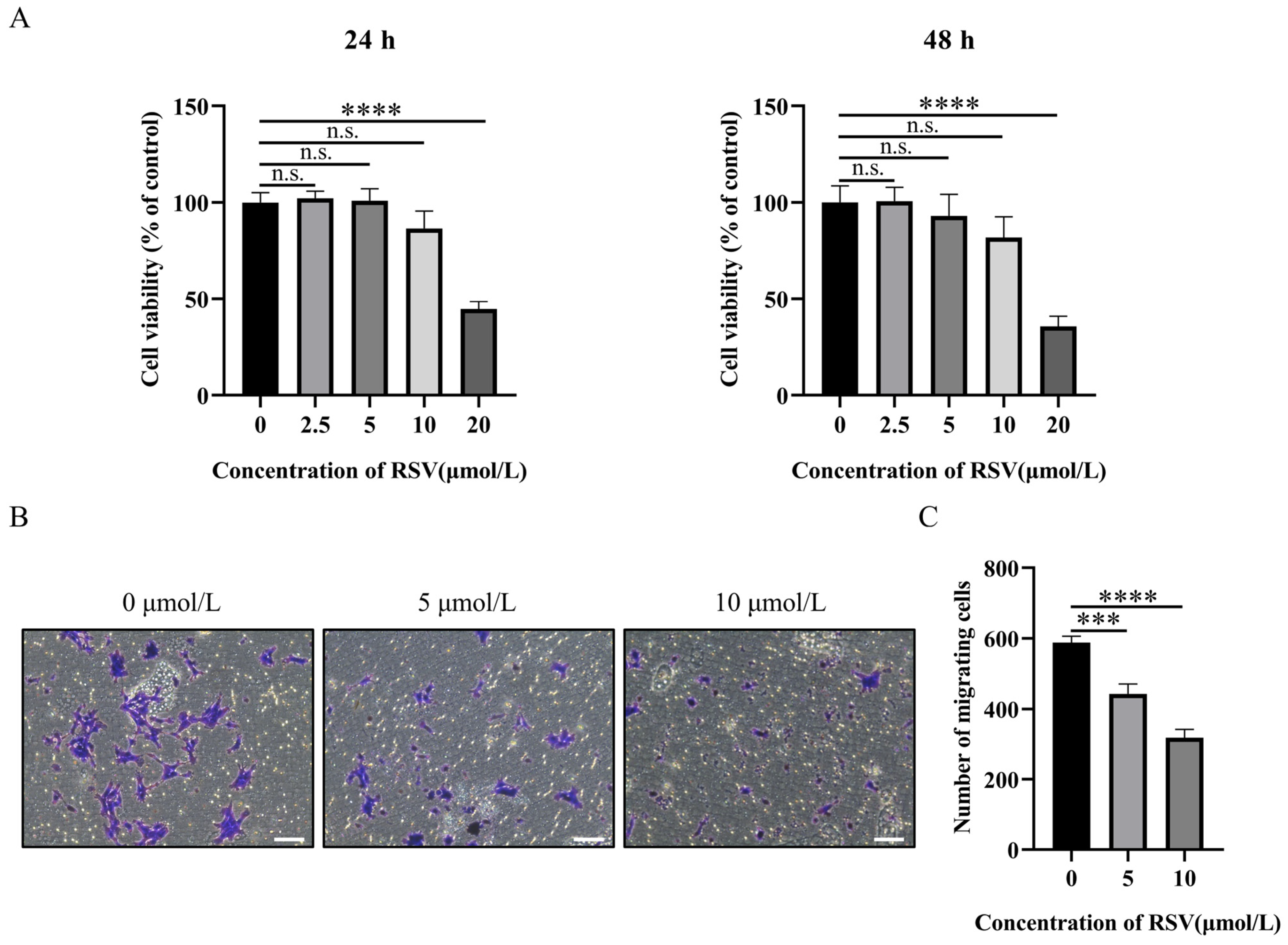 Resveratrol Prevents Breast Cancer Metastasis by Inhibiting Wnt/β ...
