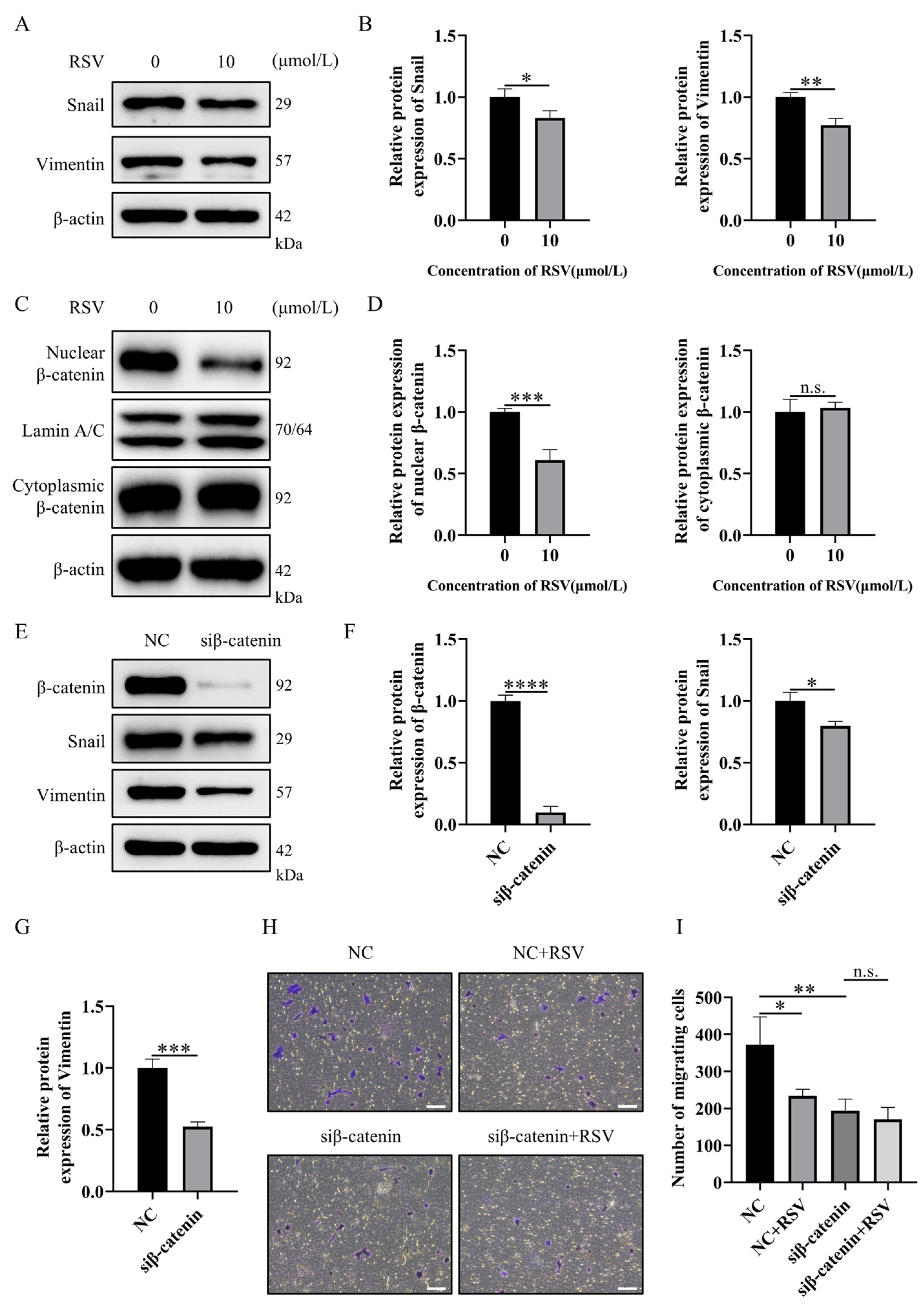 Resveratrol Prevents Breast Cancer Metastasis by Inhibiting Wnt/β ...