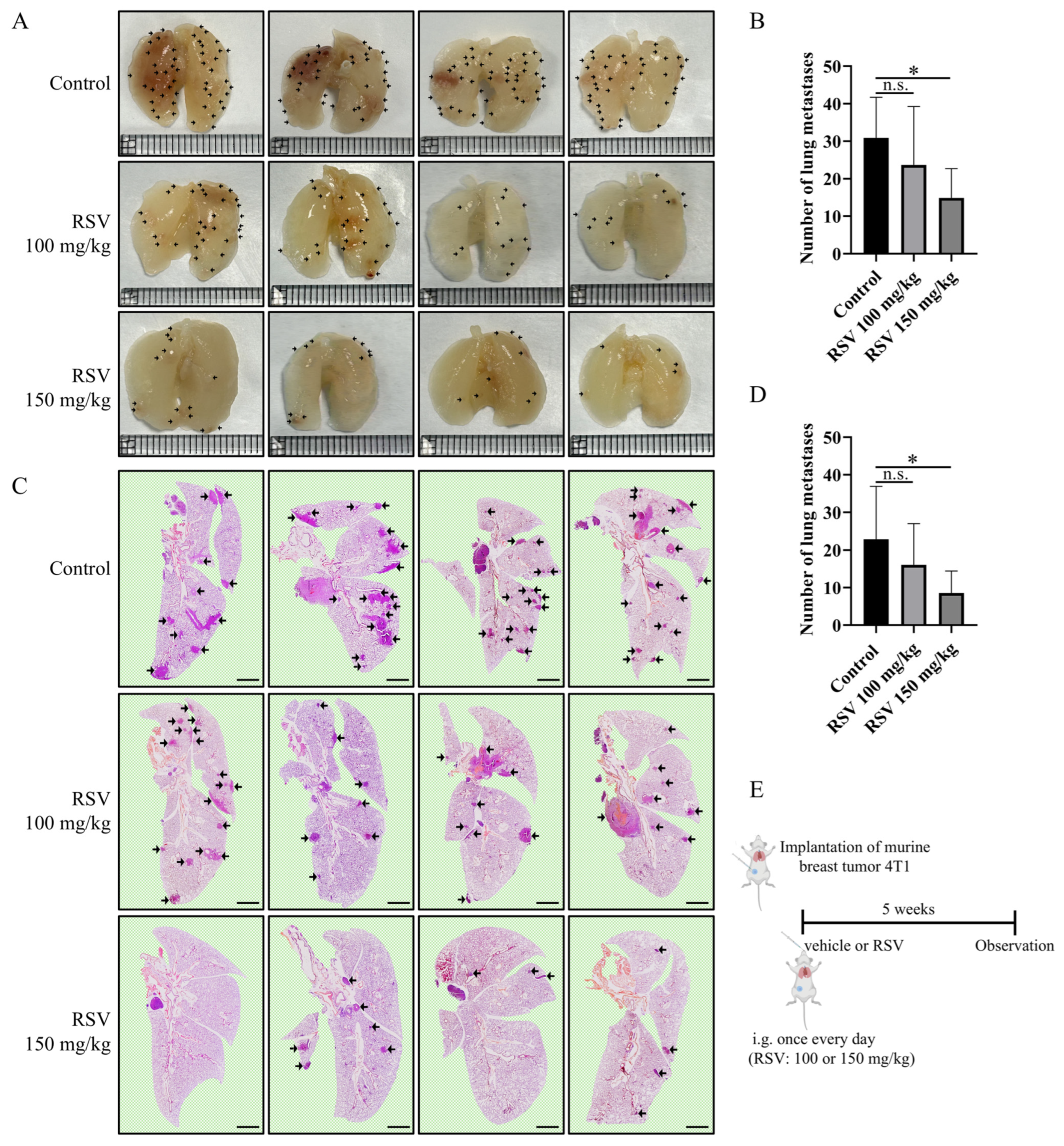 Resveratrol Prevents Breast Cancer Metastasis by Inhibiting Wnt/β ...