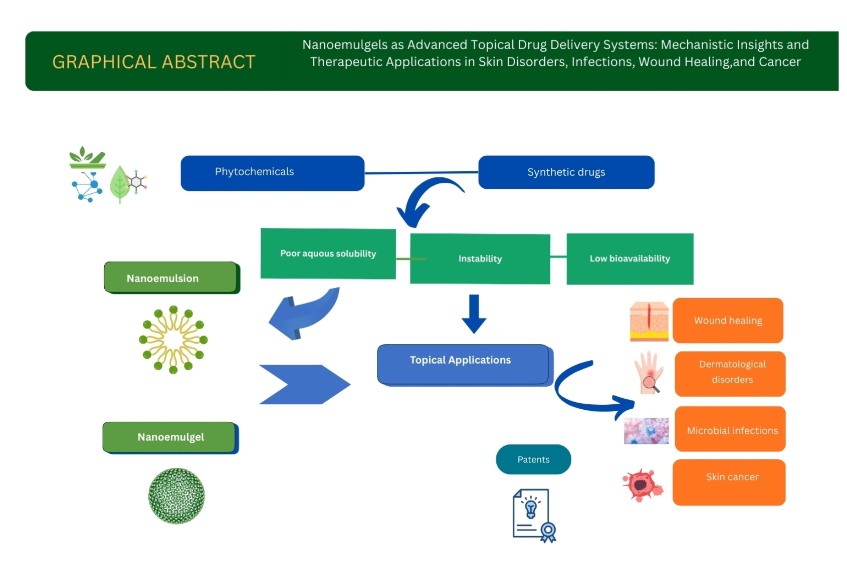 Pharma Notes.pdf Nanoemulgels as Advanced Topical Drug Delivery Systems: Mechanistic ...