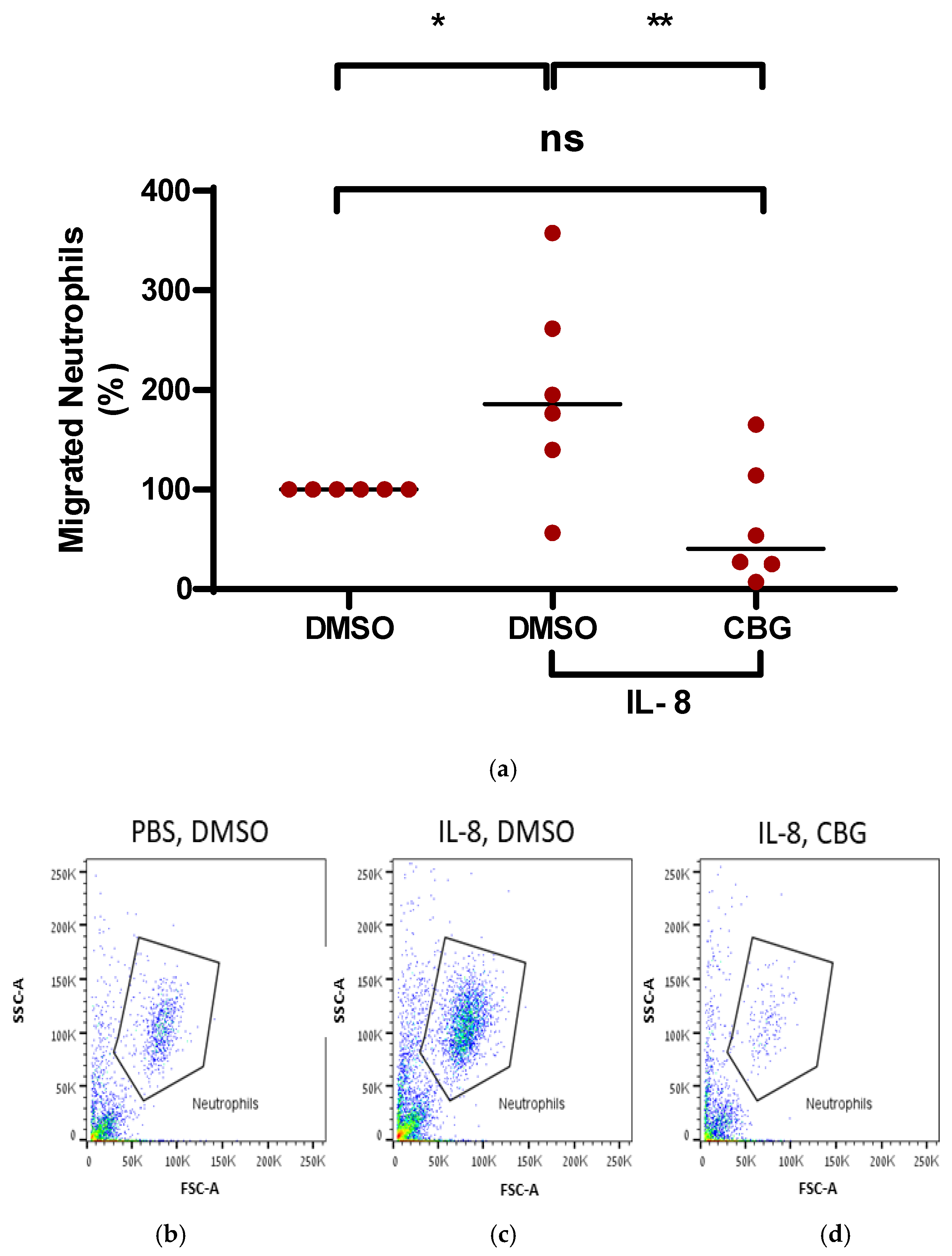 Cannabigerol (CBG) Modulates Neutrophil Activity and Ameliorates ...