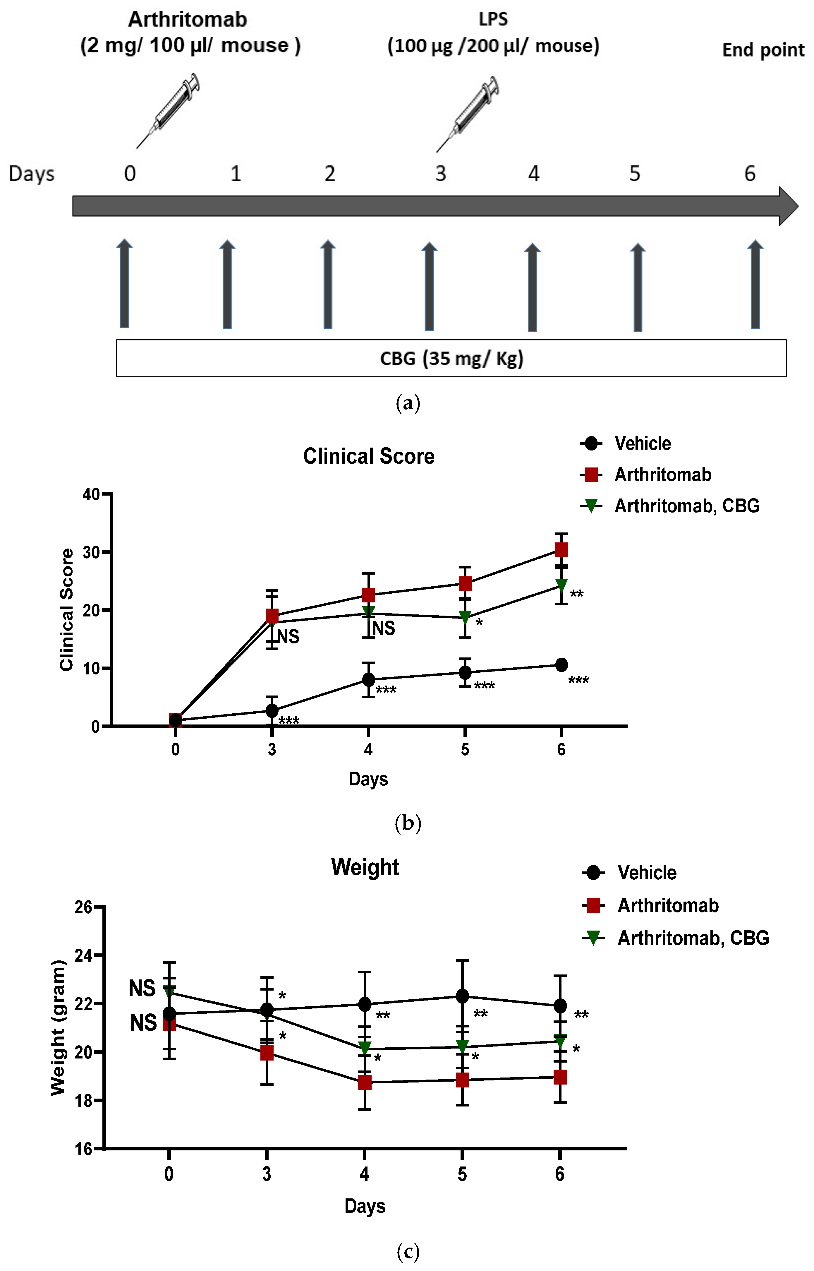 Cannabigerol (CBG) Modulates Neutrophil Activity and Ameliorates ...