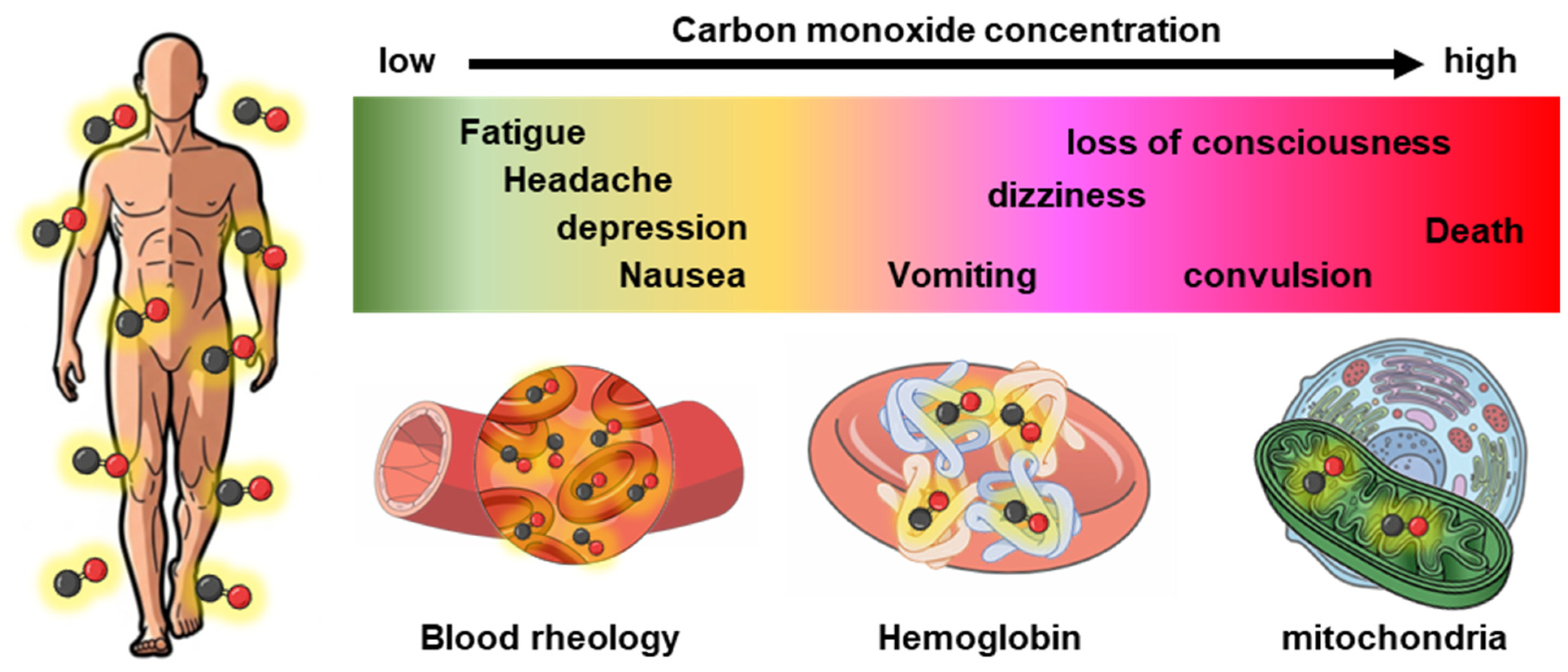 When Red Blood Cells Meet Carbon Monoxide: Yin and Yang in Medicines ...
