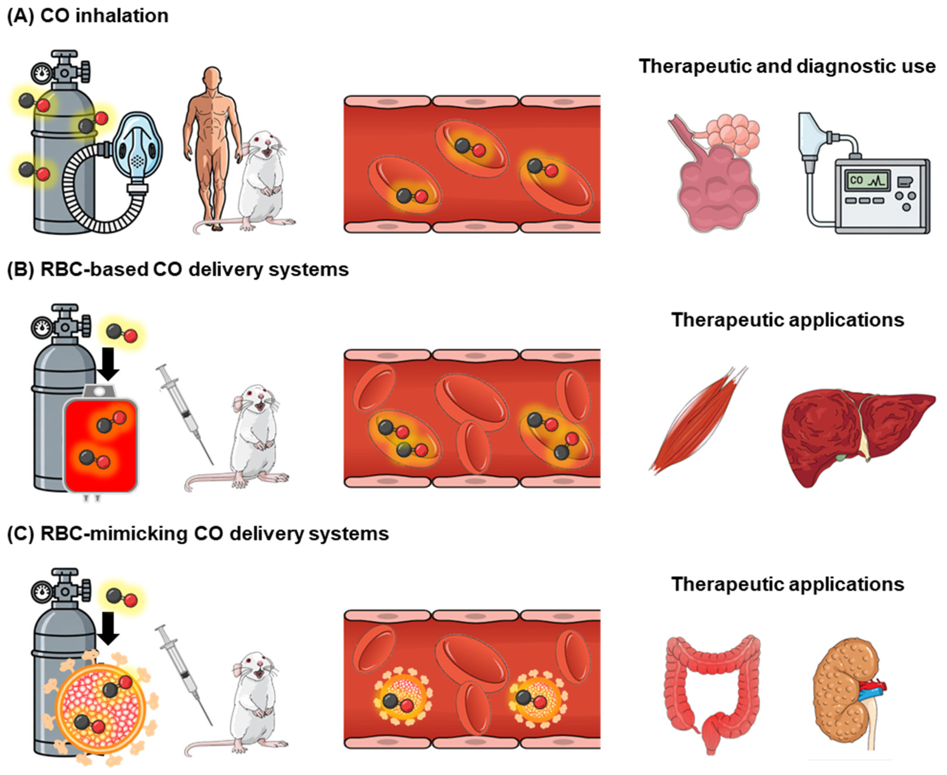 When Red Blood Cells Meet Carbon Monoxide: Yin and Yang in Medicines ...