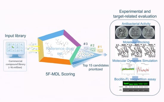 A Fivefold Maximum Drug-Likeness Strategy for Prioritizing Antibacterial Candidates Against Escherichia coli