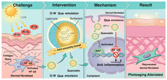 Quercetin Emulsion Ameliorates UVA-Induced Skin via Modulation of NRF2/NF-κB Signaling Pathways