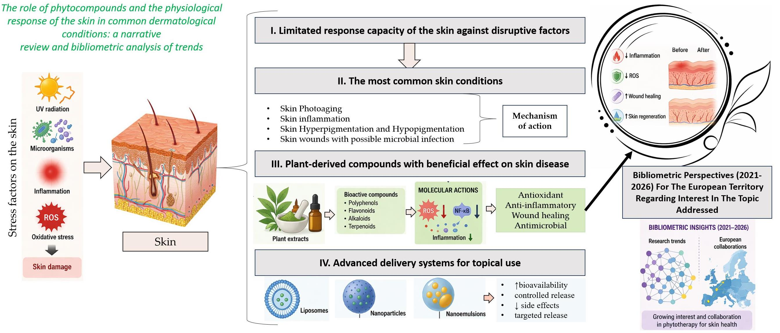 The Role of Phytocompounds and the Physiological Response of the Skin ...