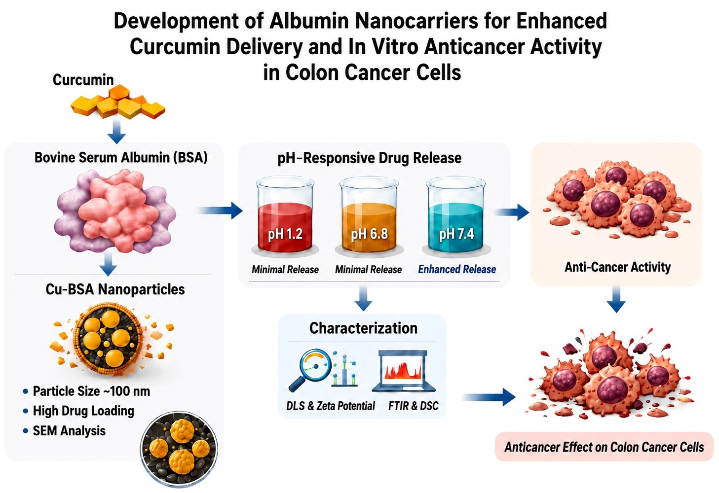 Development of Albumin Nanocarriers for Enhanced Curcumin Delivery and ...