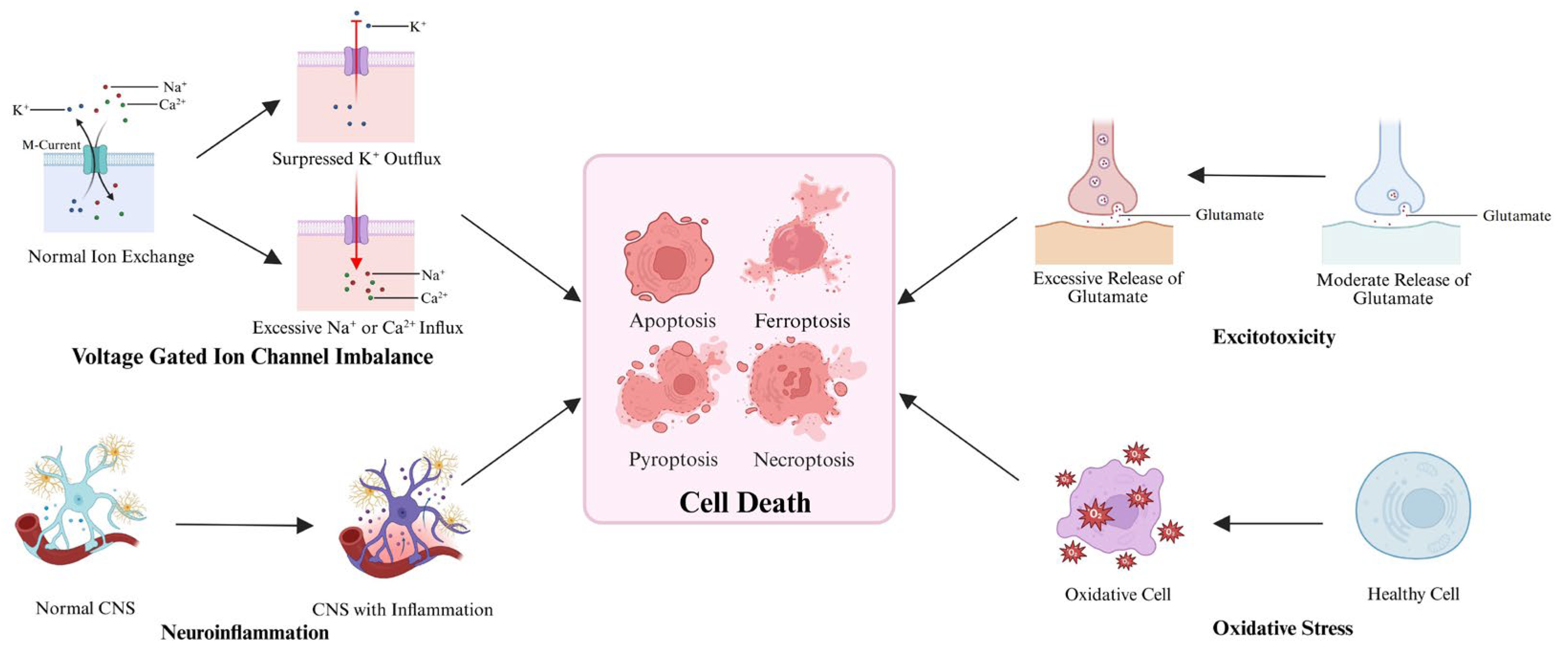 Research Progress on Novel Lead Compounds for Central Nervous System ...