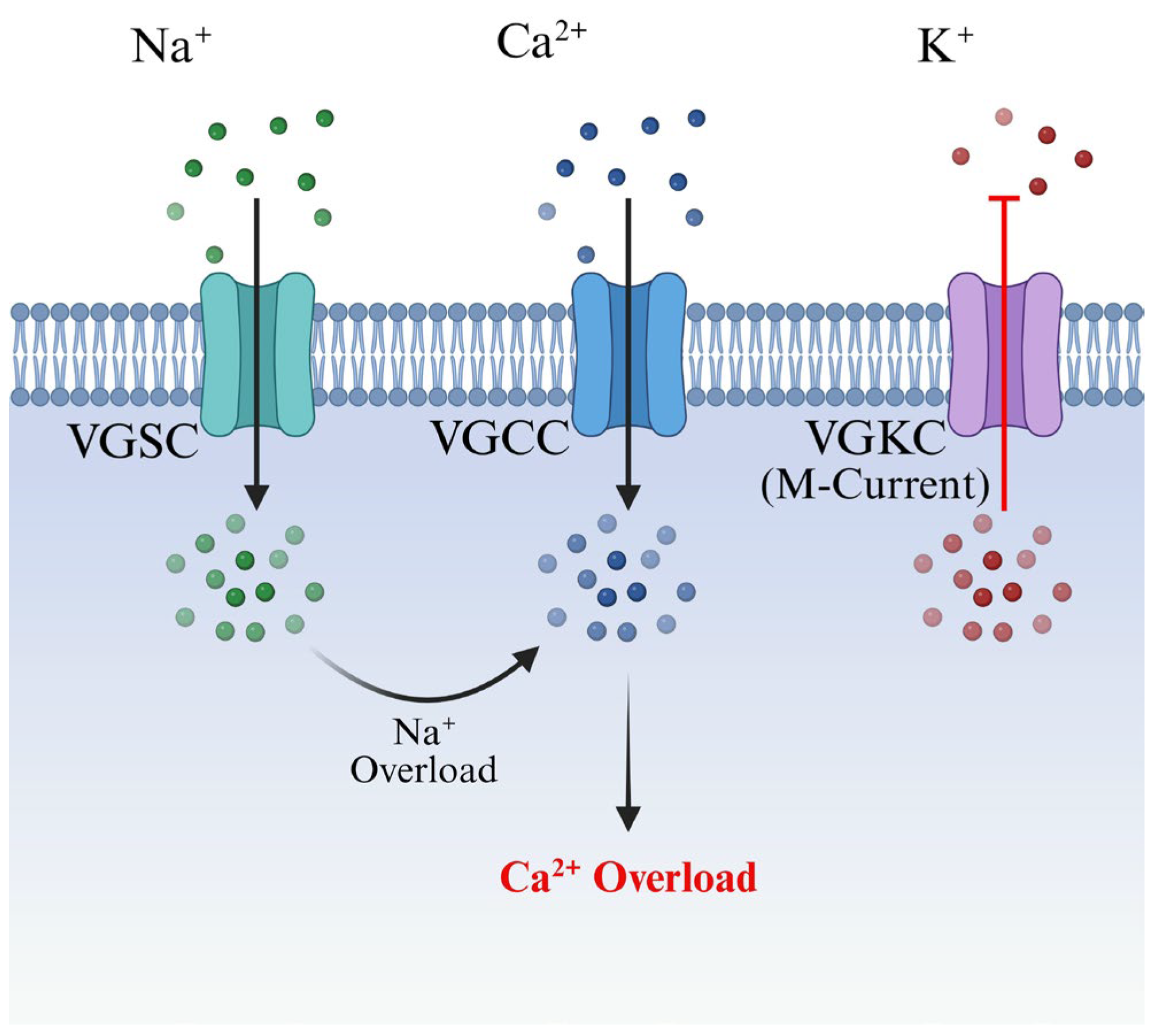 Research Progress on Novel Lead Compounds for Central Nervous System ...