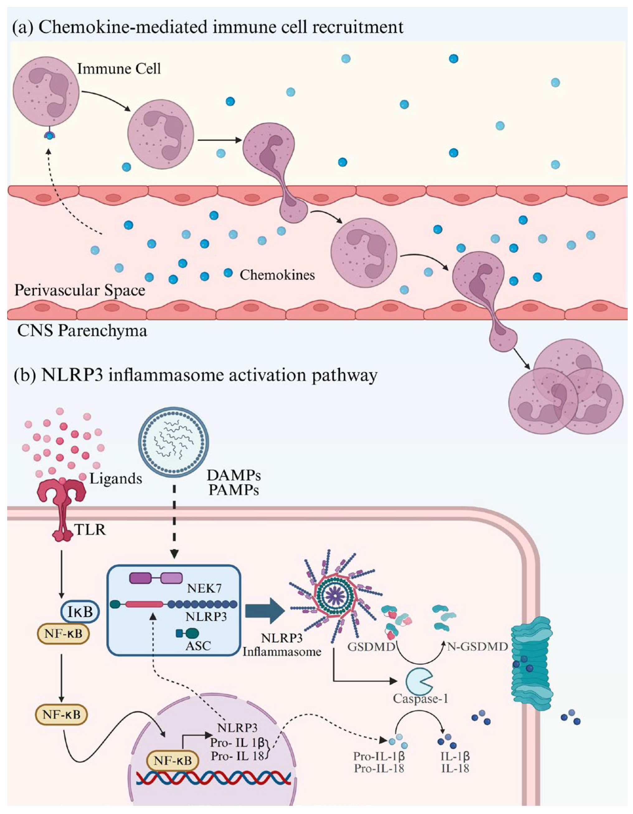 Research Progress on Novel Lead Compounds for Central Nervous System ...