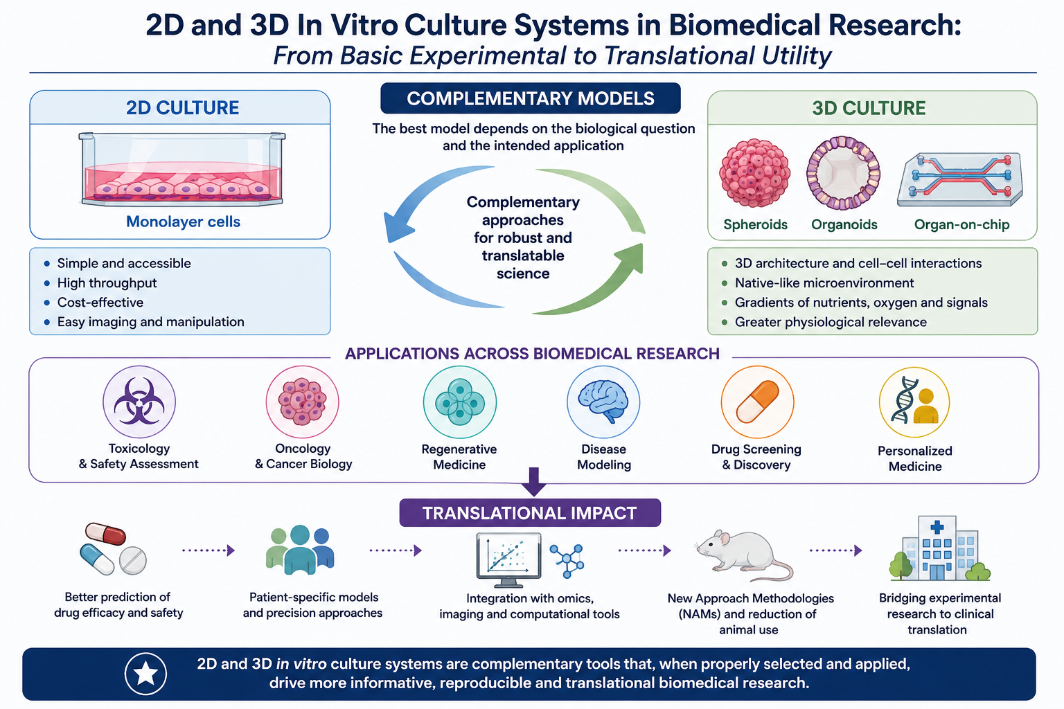 2D and 3D In Vitro Culture Systems in Biomedical Research: From Basic ...