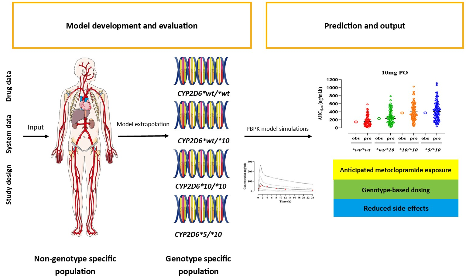 Development and Evaluation of Physiologically Based Pharmacokinetic ...