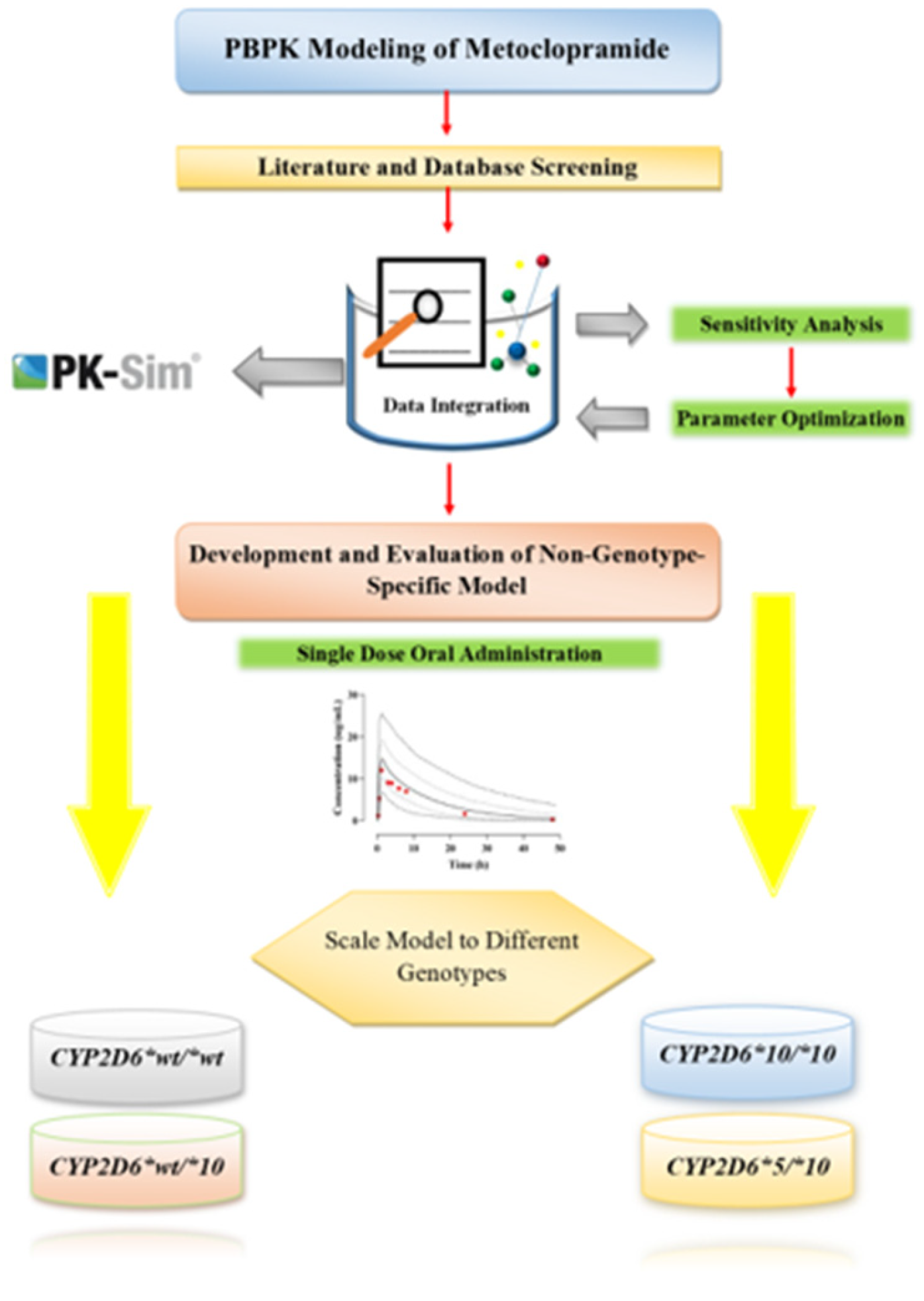 Development and Evaluation of Physiologically Based Pharmacokinetic ...