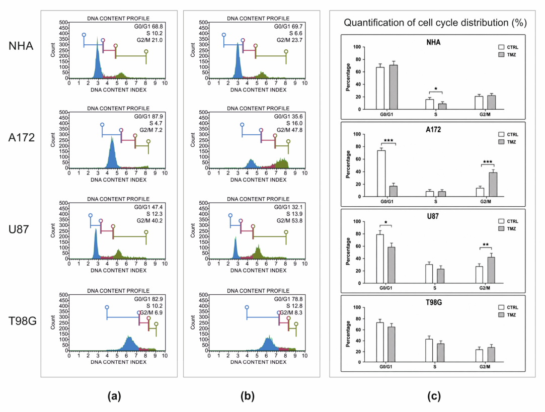 Pharma Notes.pdf Association Between Temozolomide Resistance and Long Non-Coding RNA ...