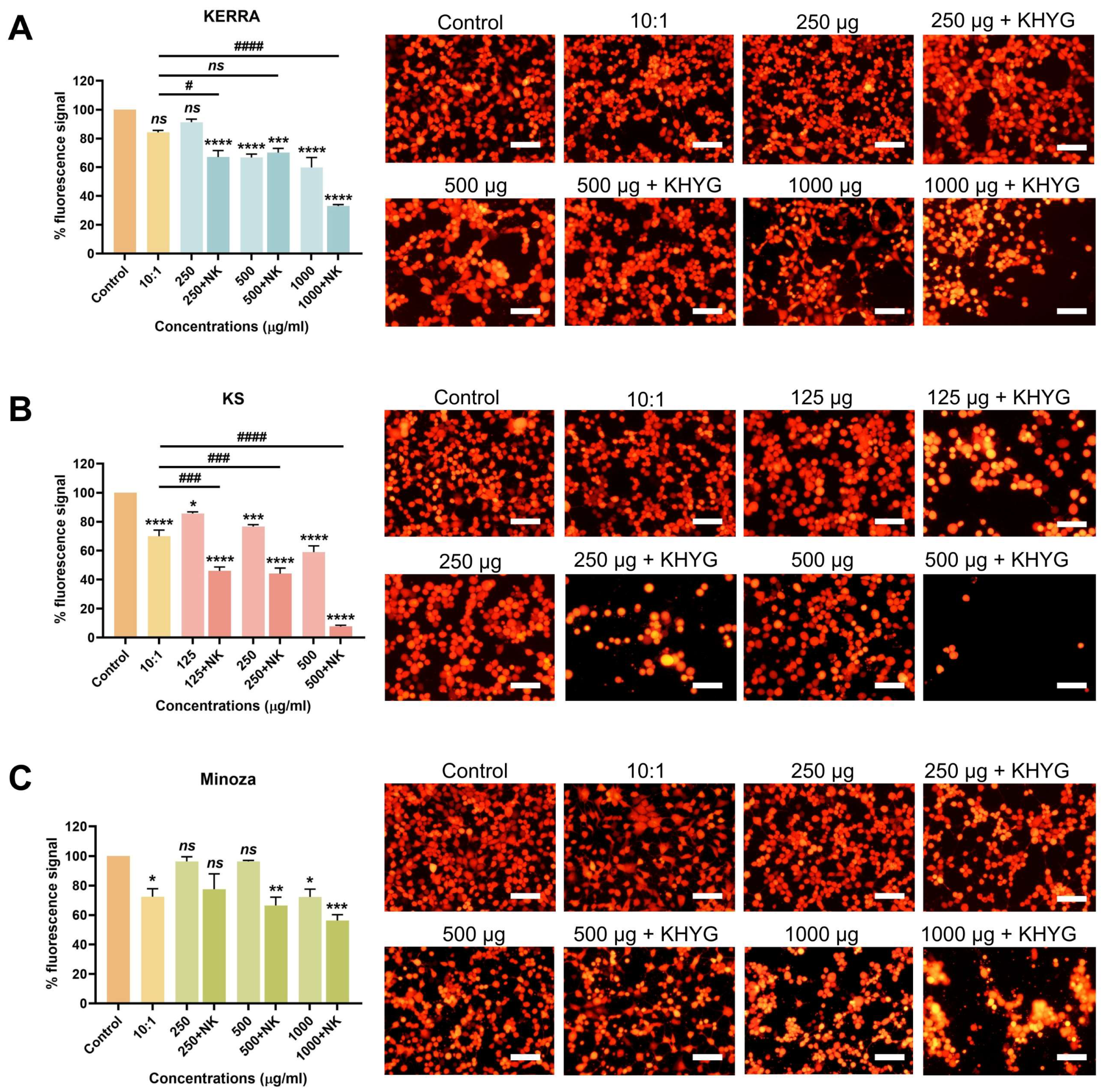 Immunomodulatory Potential of KSTM in Activating Natural Killer Cells ...
