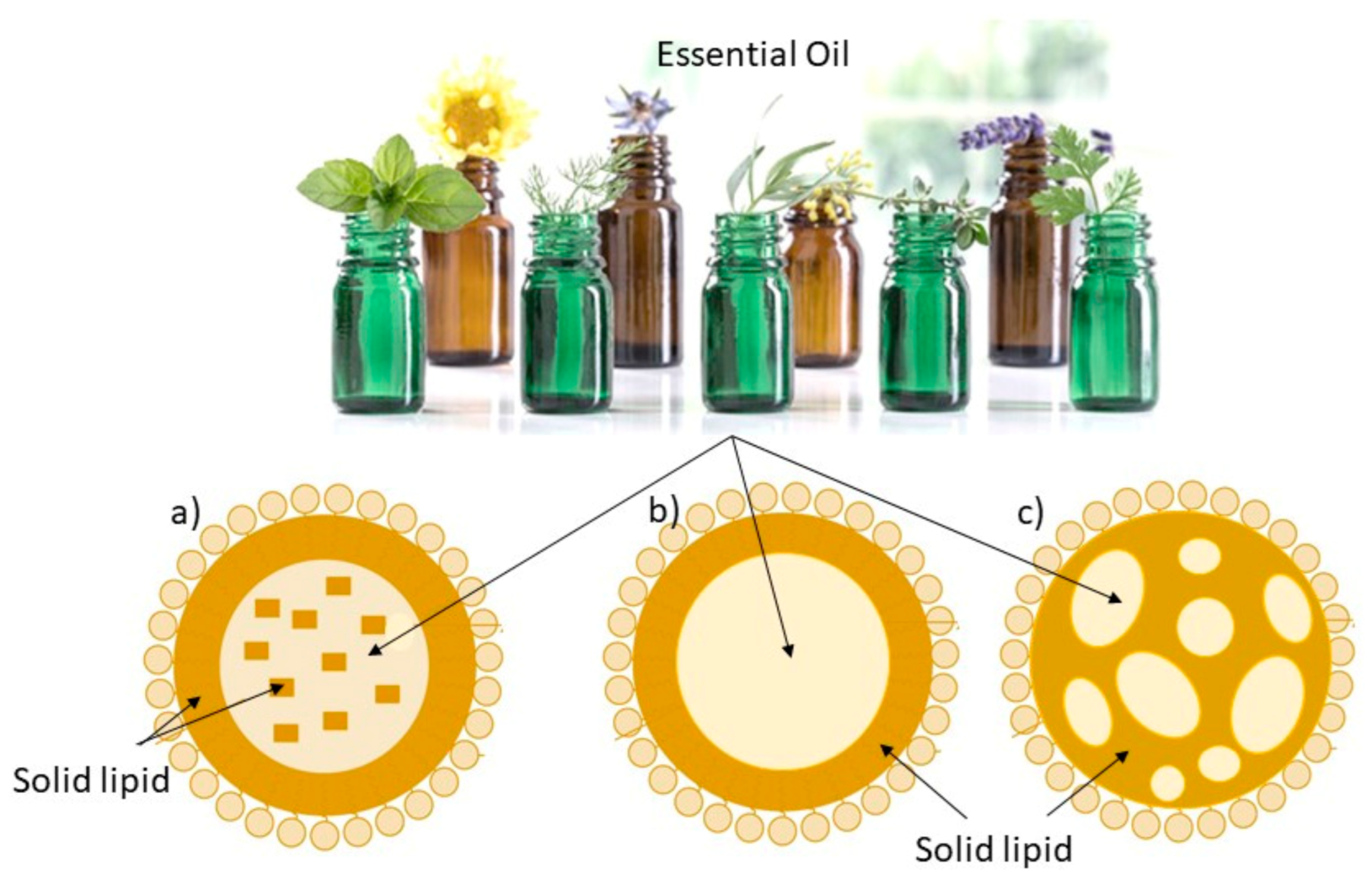 Breath Aromatherapy Essentials Blend - 100% Pure Essential Oils – Rising  Sun Botanicals