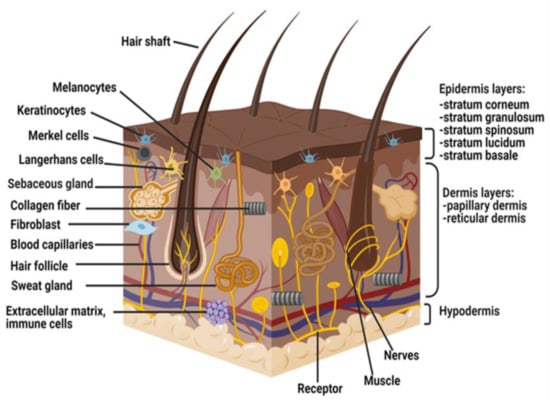 Pharmaceutics | Free Full-Text | The Insights of Microbes’ Roles in ...