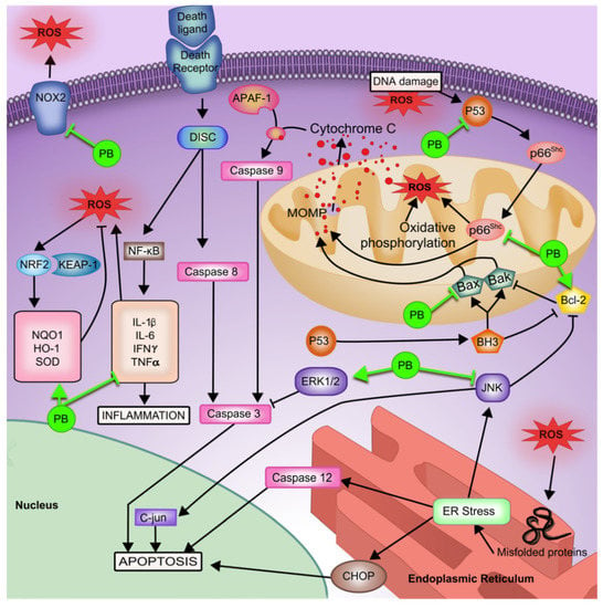 Pharmaceutics | Free Full-Text | A Review on Recent Advancement on Age ...