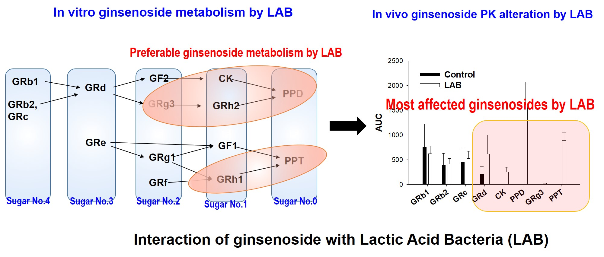 Pharmaceutics | Free Full-Text | Effect of Lactic Acid Bacteria on the  Pharmacokinetics and Metabolism of Ginsenosides in Mice