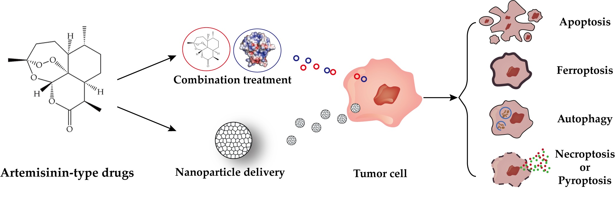 Pharmaceutics | Free Full-Text | Artemisinin-Type Drugs in Tumor 