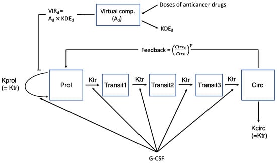 Kemo Model A Pharmacometric Model to Predict Chemotherapy-Induced Myelosuppression ...