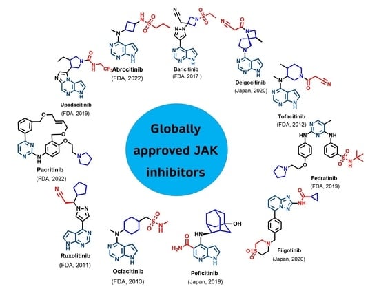 Design and Synthesis of Ligand Efficient Dual Inhibitors of Janus