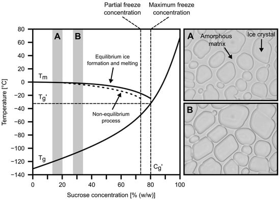 complementarity-of-mdsc-dma-and-drs-techniques-in-the-study-of-tg-and