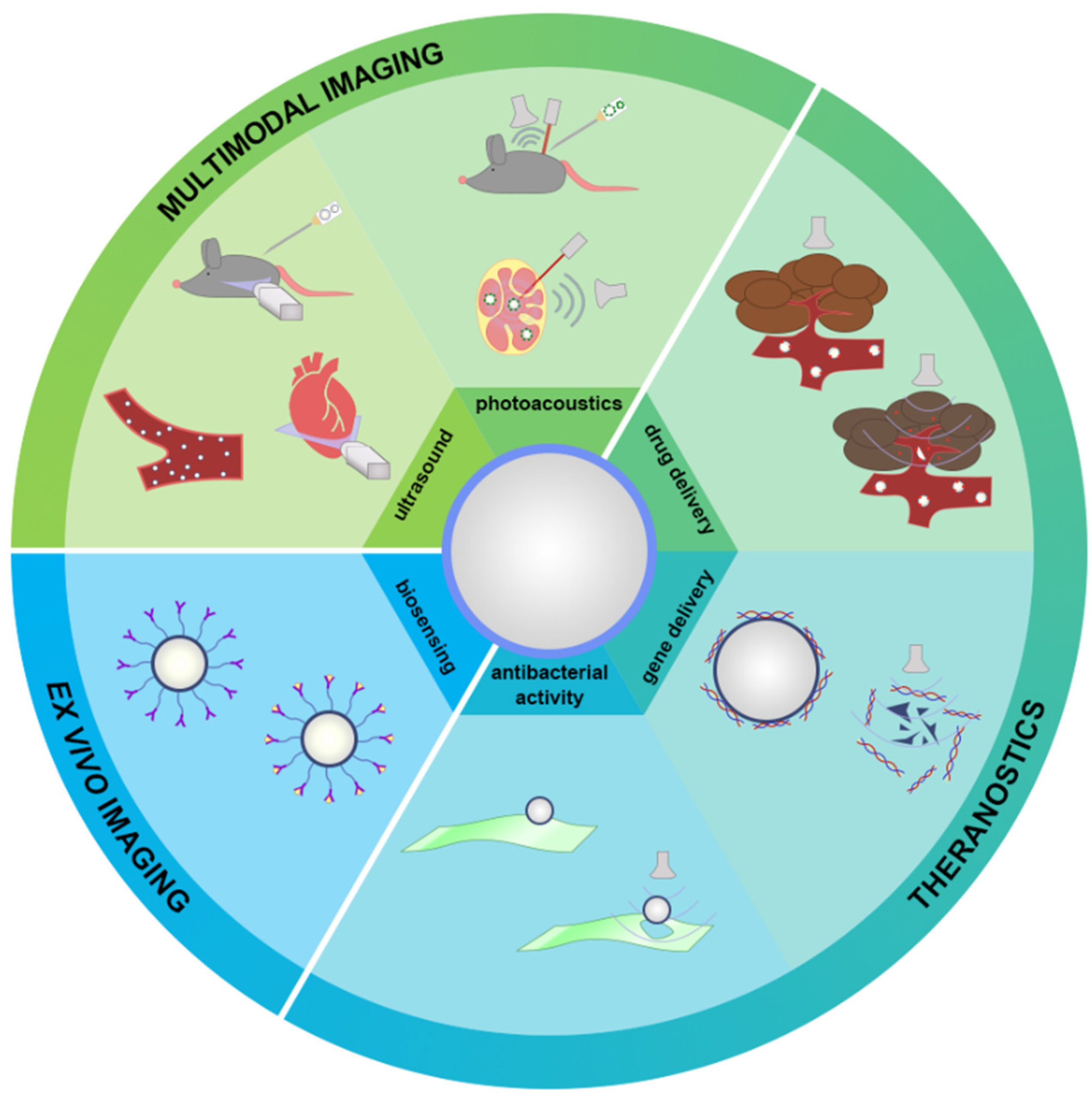 Pharmaceutics Free Full Text Microbubbles Stabilized By Protein 