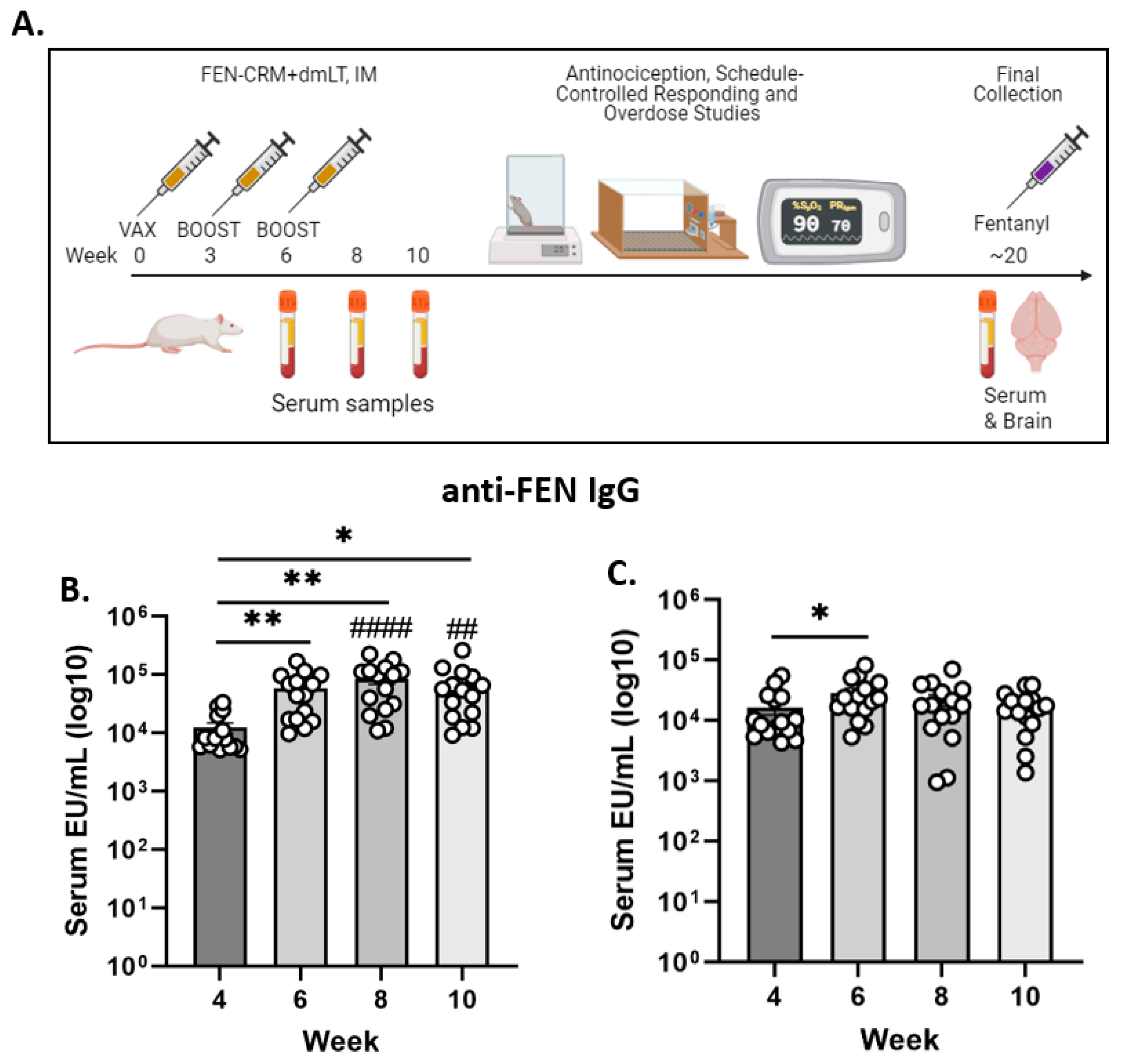 ouder mooi zo Eik Pharmaceutics | Free Full-Text | An Immunconjugate Vaccine Alters  Distribution and Reduces the Antinociceptive, Behavioral and Physiological  Effects of Fentanyl in Male and Female Rats