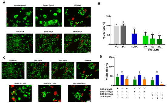 Diallyl Disulfide Induces Chemosensitization to Sorafenib 