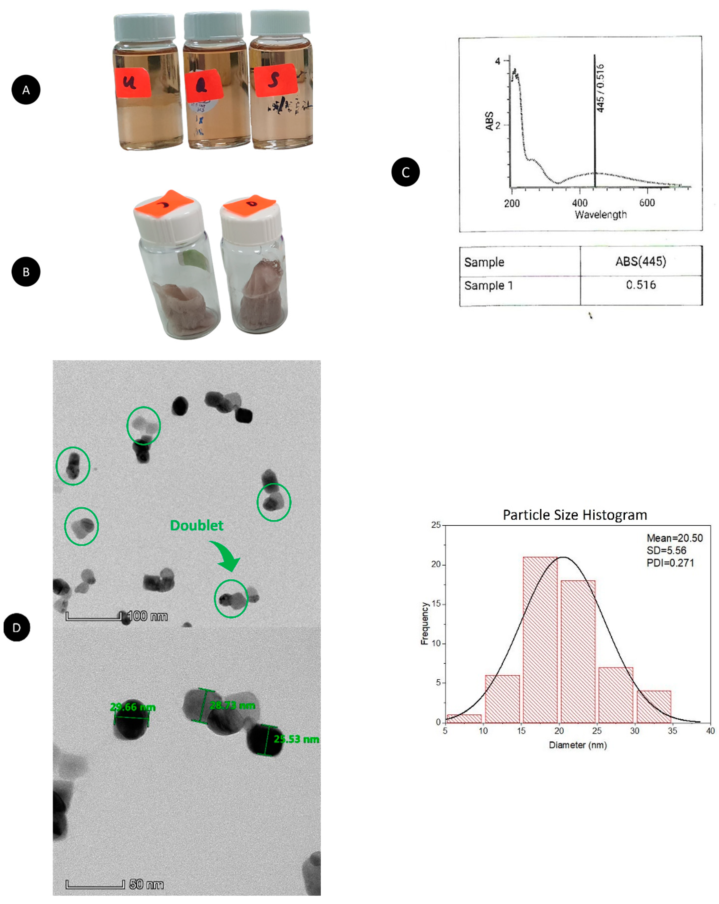 Pharmaceutics Free Full-Text Antibacterial, Anti-Biofilm and Pro-Migratory  Effects of Double Layered Hydrogels Packaged with Lactoferrin-DsiRNA-Silver  Nanoparticles for Chronic Wound Therapy