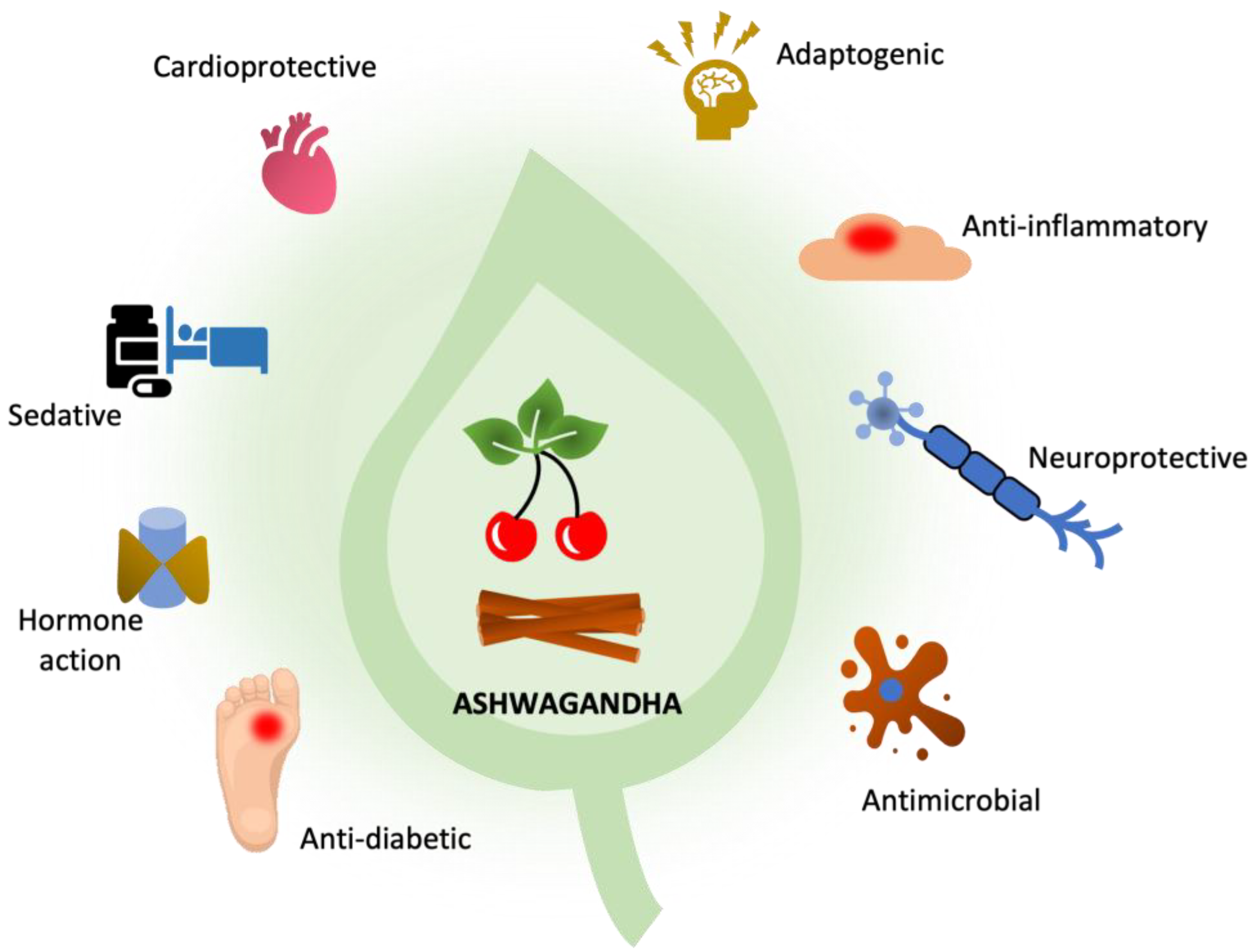 Pharmaceutics | Free Full-Text | Ashwagandha (Withania  somnifera)—Current Research on the Health-Promoting Activities: A  Narrative Review