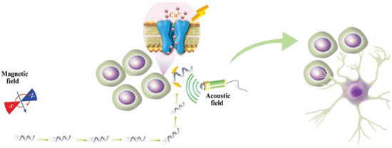 Pharmaceutics | Free Full-Text | Piezoelectric Nanomaterials Activated ...