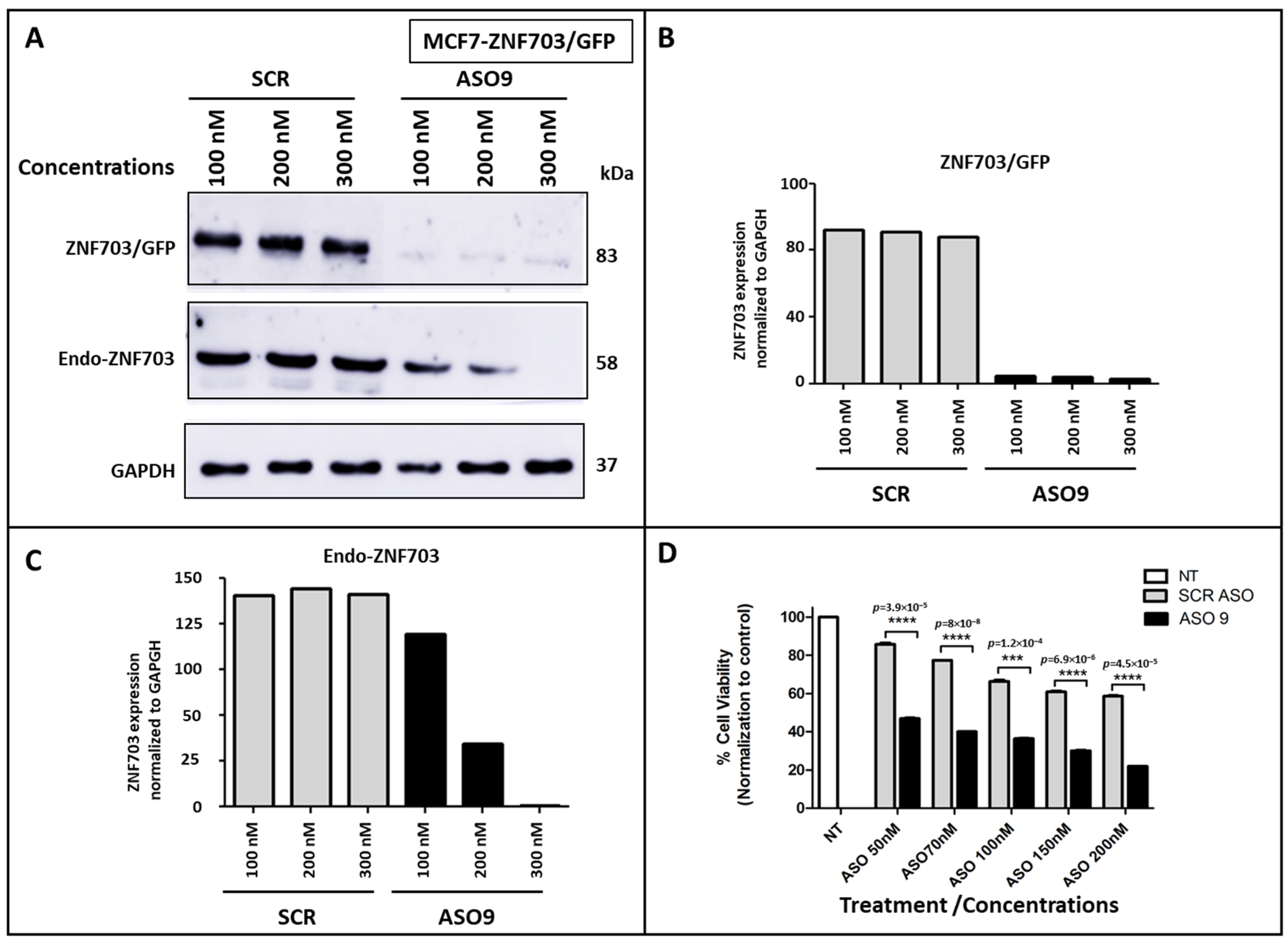 Pharmaceutics | Free Full-Text | ZNF703 MRNA-Targeting Antisense ...