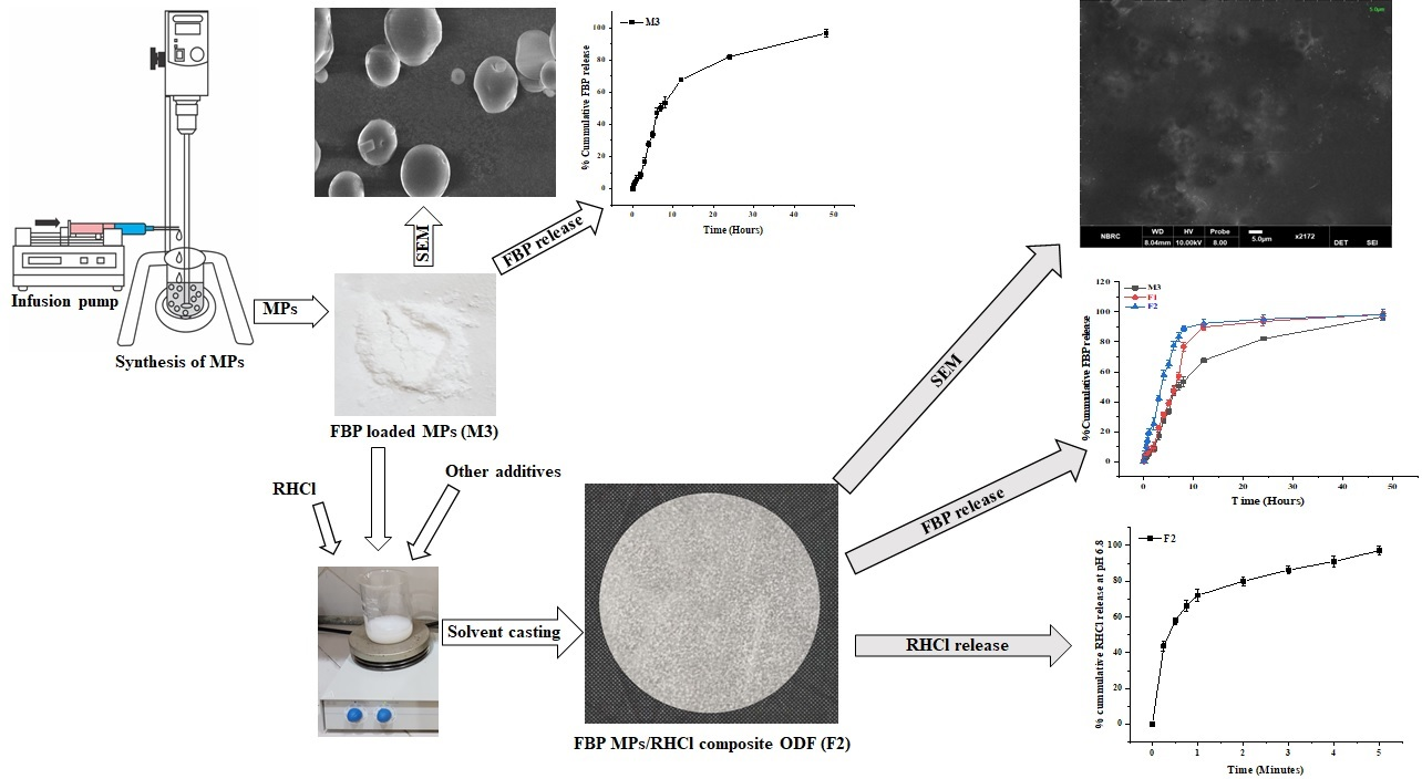 Pharmaceutics Free Full-Text In Vitro and In Vivo Evaluation of Composite Oral Fast Disintegrating Film An Innovative Strategy for the Codelivery of Ranitidine HCl and Flurbiprofen pic
