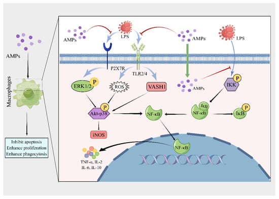 Pharmaceutics | Free Full-Text | The Contribution of Antimicrobial ...